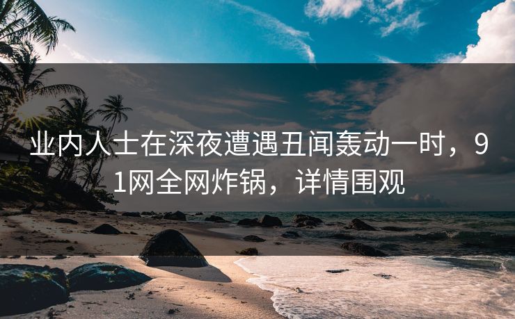 业内人士在深夜遭遇丑闻轰动一时，91网全网炸锅，详情围观