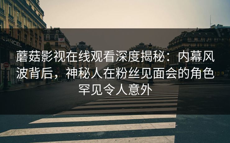 蘑菇影视在线观看深度揭秘：内幕风波背后，神秘人在粉丝见面会的角色罕见令人意外