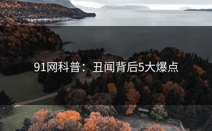 91网科普：丑闻背后5大爆点