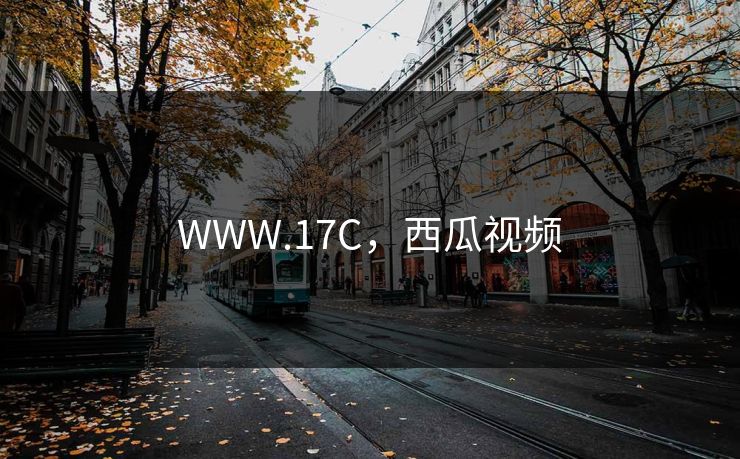 WWW.17C,西瓜视频 WWW.17C,西瓜视频